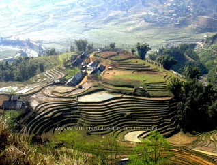 Rizières en gradins au village de Lao Chai