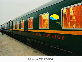 Tulico Train