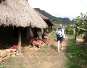 Marché de Coc Ly